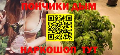 сатива Будённовск