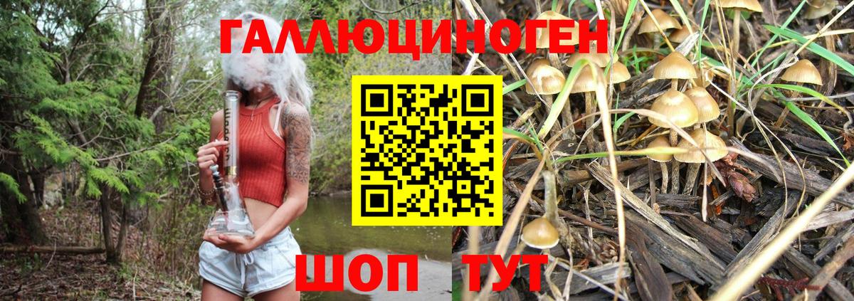 Кудымкар  Псилоцибиновые грибы Cubensis  Вход с VPN 